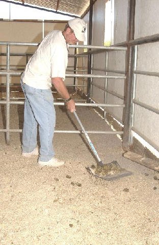 Chores-at-Connections