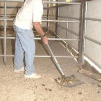 Chores-at-Connections