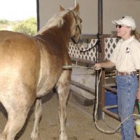 Chores-at-Connections