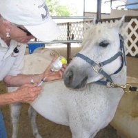 Chores-at-Connections