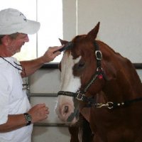 Chores-at-Connections