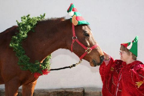 Christmas 2006