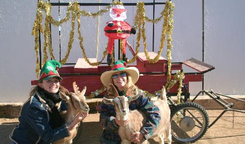 Christmas 2006