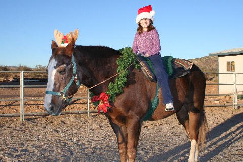Christmas 2006