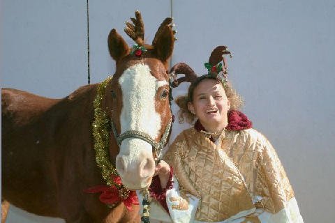 Christmas 2006