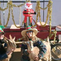 Christmas 2006