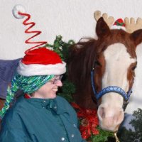 Christmas 2007