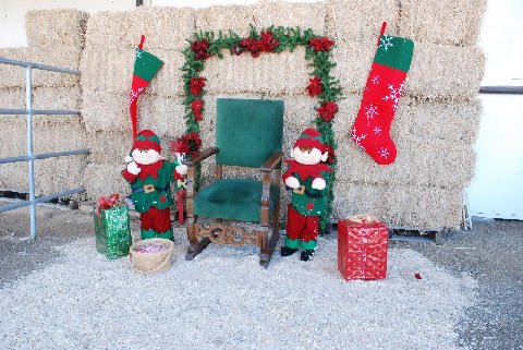 Christmas-2009