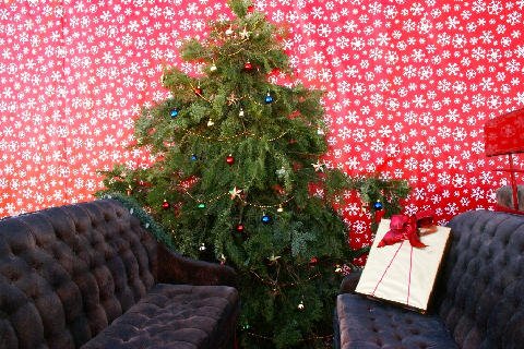 Christmas-2009