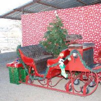 Christmas-2009