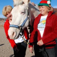 Christmas-2009