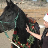 Christmas-2009