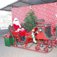 Christmas-2009