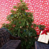 Christmas-2009