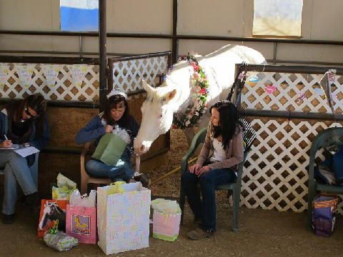 Foal-Shower