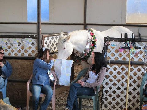 Foal-Shower