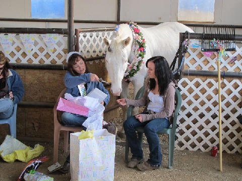 Foal-Shower