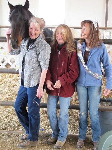 Foal-Shower