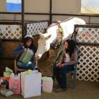 Foal-Shower
