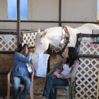 Foal-Shower