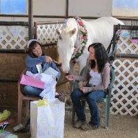 Foal-Shower