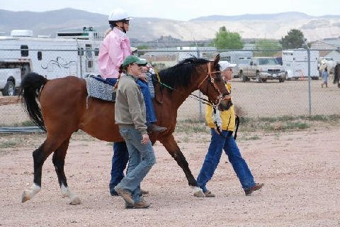 Horse-Show-April-21-2007