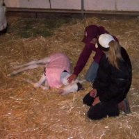 New-Foal