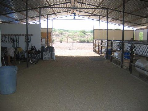 The Facility 