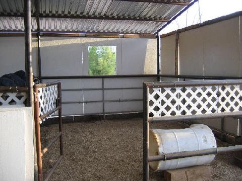 The Facility 