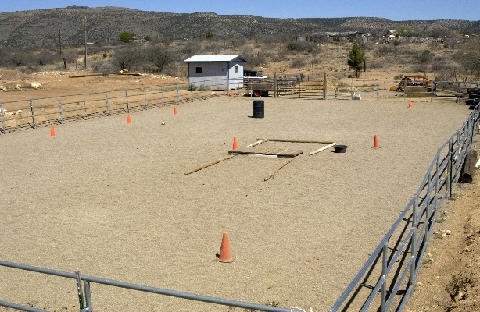 The Facility 
