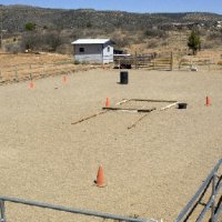 The Facility 