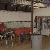 The Facility 